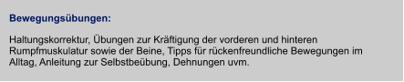 Bewegungsübungen: Haltungskorrektur, Übungen zur Kräftigung der vorderen und hinteren Rumpfmuskulatur sowie der Beine, Tipps für rückenfreundliche Bewegungen im Alltag, Anleitung zur Selbstbeübung, Dehnungen uvm.